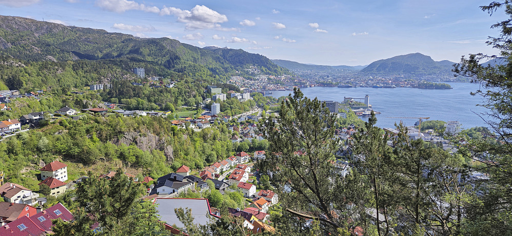 Ytre Sandviken from Furukammen