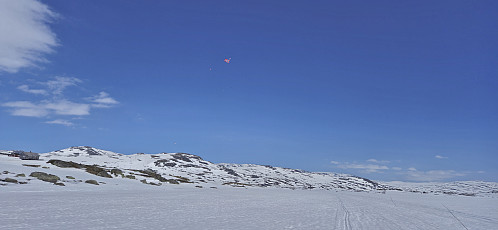 Paragliders above Finsevatnet