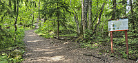 The start of the steep ascent