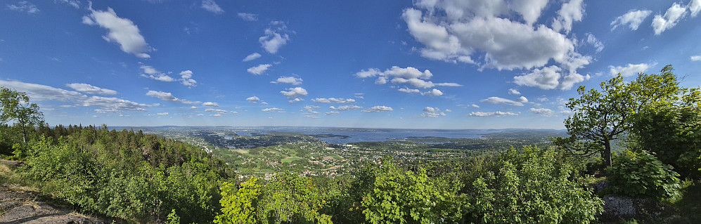 Panoramic view from Skaugumsåsen