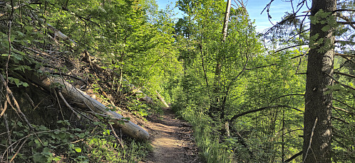 Descending towards Semsvannet