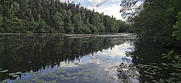 Syverstaddammen