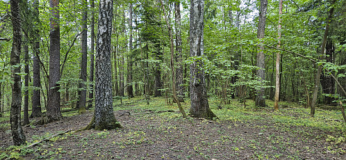 The summit area at Syverstadbråten