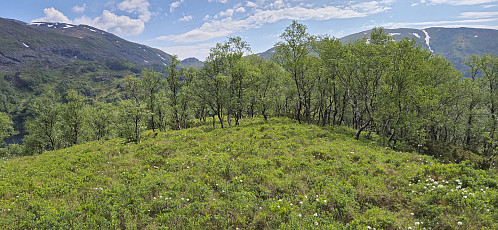South from the summit