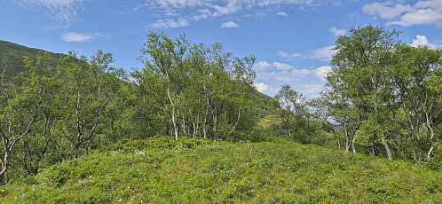 The highest point at Svartavassrinden