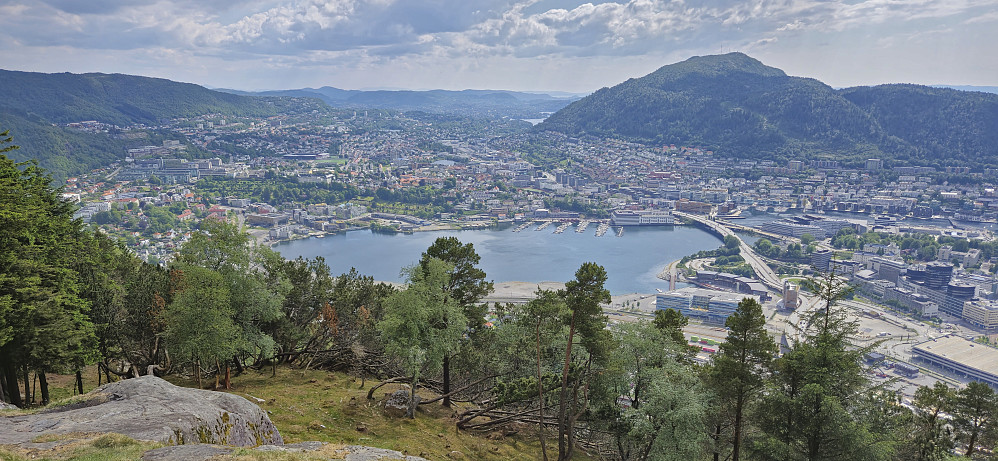 Store Lungegårdsvannet from Fløyen