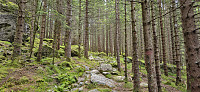 The trail to Leiro