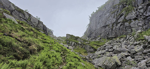 Uraskaret