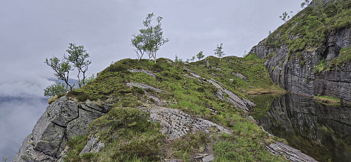 Trail/deer track towards Mysterfjell