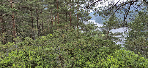 The highest point at Åsen with Eidsfjorden in the background