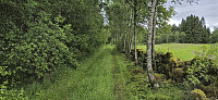 The tractor road