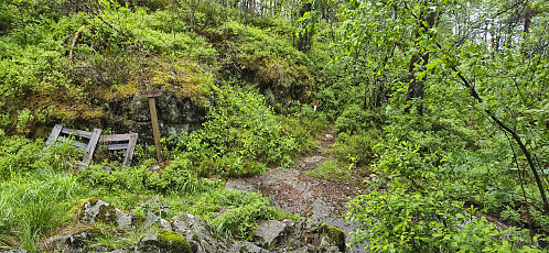 The marked trail