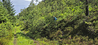 The trailhead