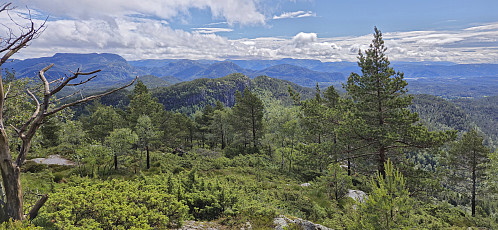 Towards Bufjellet from Melshovden