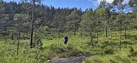 Ascending towards Beinvedfjellet