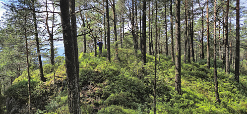Approaching the summit