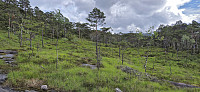 Off-trail towards the summit