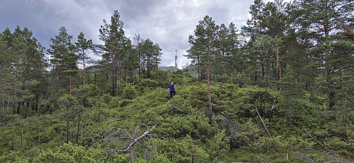 Approaching the summit