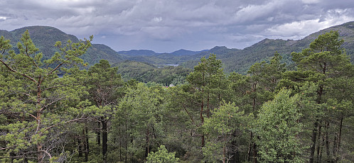 Southwest from Merkesholten