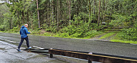 The marked trailhead