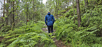 Marked trail to Hatten