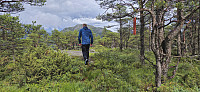 Trail marker northeast of Hatten