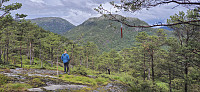 Trail markers relocated