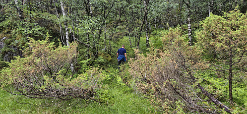 Following a weak trail towards Snaufjellet