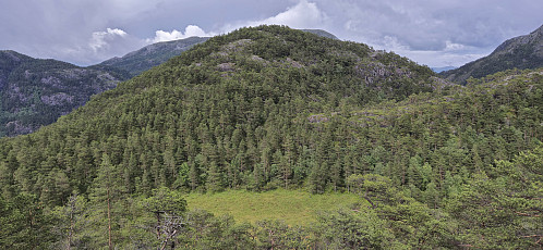 Dalsfjellet