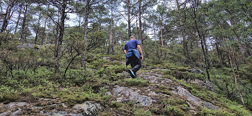 Ascending Dalsfjellet