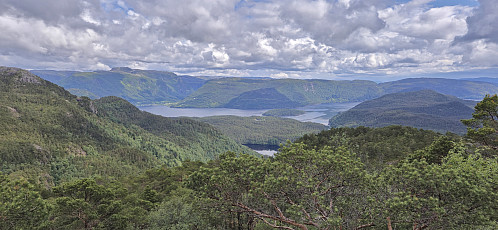 Towards Masfjordenes from Dalsfjellet