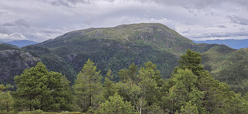 Vardefjellet from Dalsfjellet
