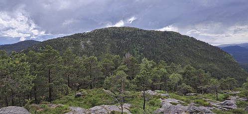 Looking back at Snaufjellet from the descent from Dalsfjellet
