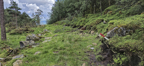 Tractor road and trail marker west of Breidskaret