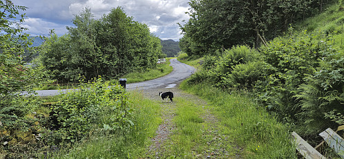 The last obstacle of the day: a barking dog
