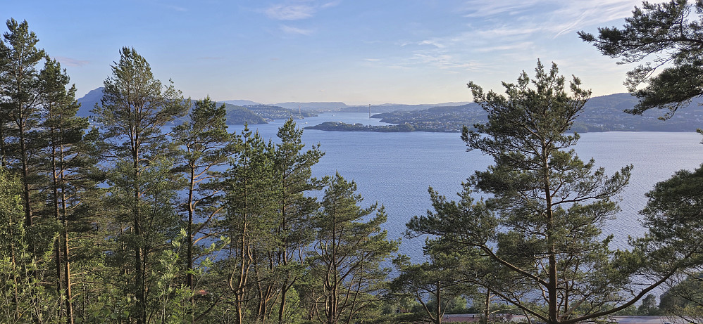 Askøybroen from Furukammen