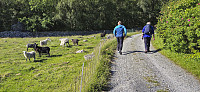 Following the gravel road