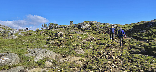 Approaching the summit