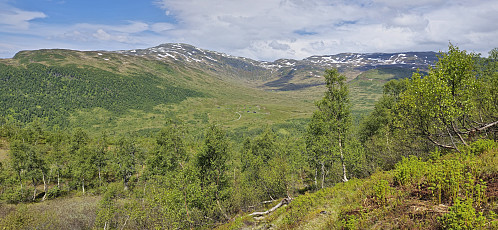 Revhaugen and Reppane from the descent with Bjørndalskamben in the background.