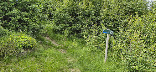 The trailhead