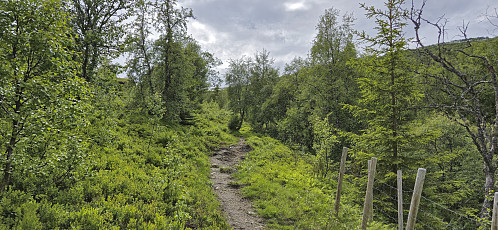 The first part of the trail