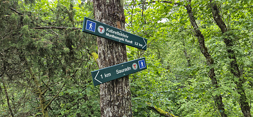 The second trailhead