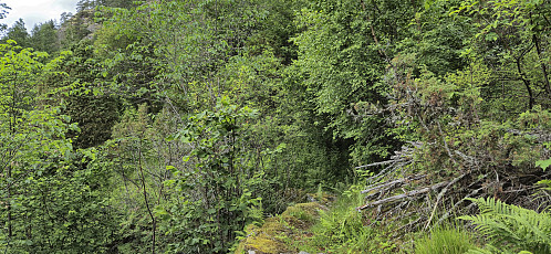 On the way to Bjørgi