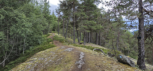 The trail towards Ormaskori