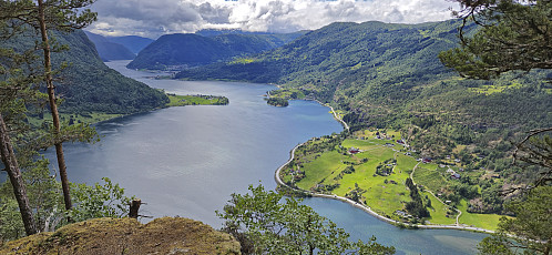 Barsnesfjorden from Romnaholten utsiktspunkt