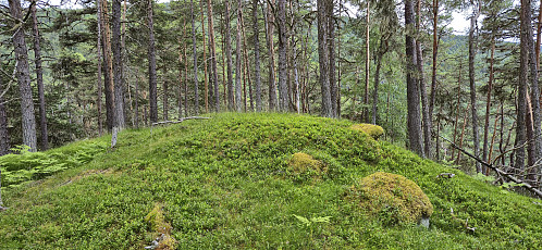 The highest point at Romnaholten
