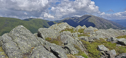 Drogegjeltoppen