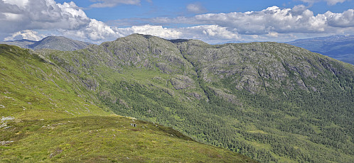 Looking back at Sveningen