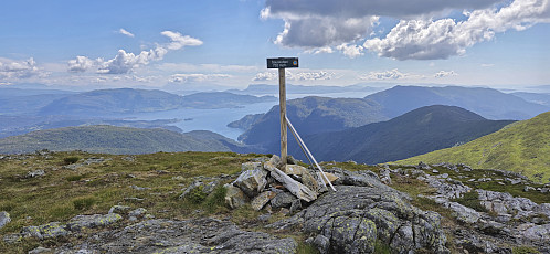 Sauskolten