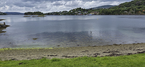Vollane